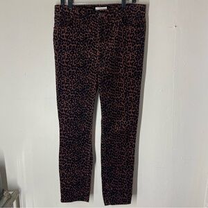 LOFT Leopard Animal Print High Waist Rise Skinny Corduroy Pants Size 12 / 31